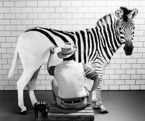 fraud awareness wu paylink