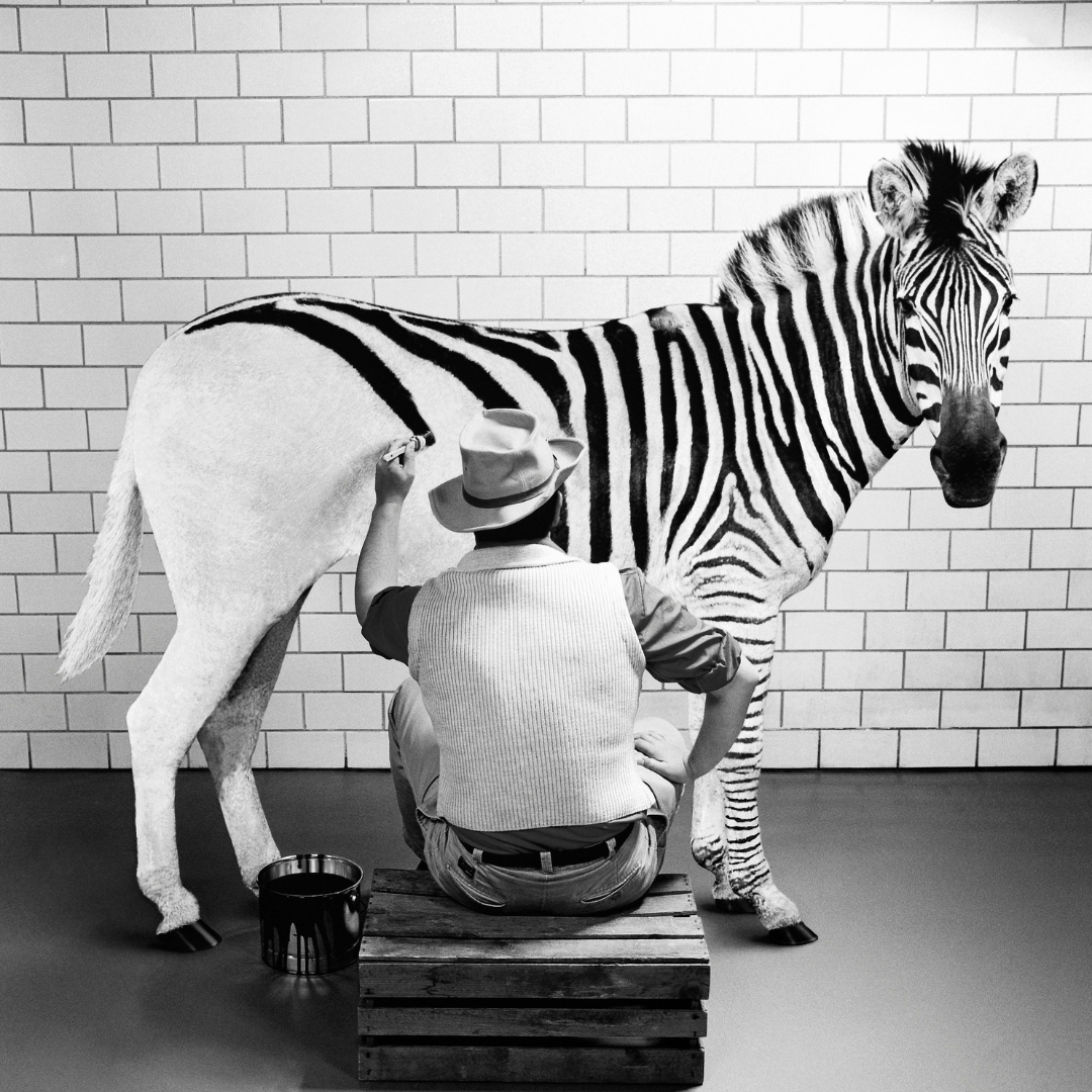 fraud awareness wu paylink